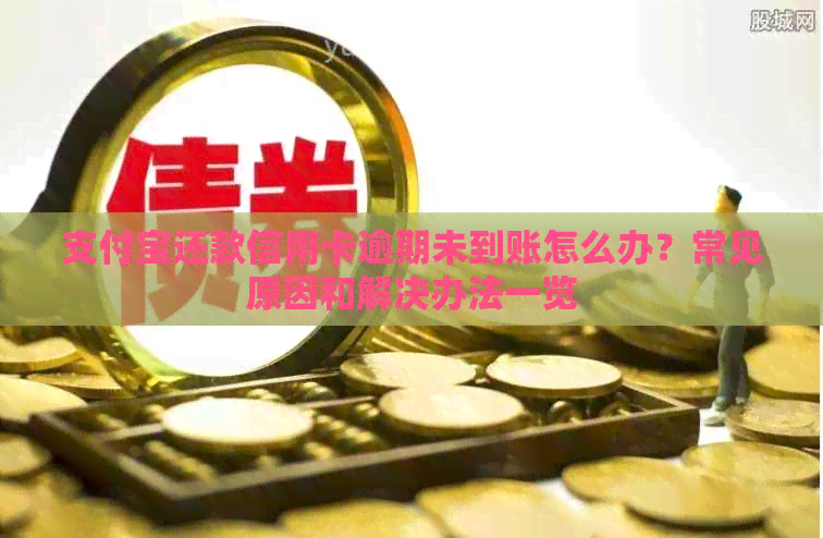 支付宝还款信用卡逾期未到账怎么办？常见原因和解决办法一览