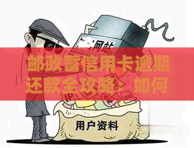 邮政蓄信用卡逾期还款全攻略：如何处理、影响与解决方案