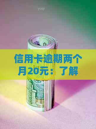 信用卡逾期两个月20元：了解后果并避免进一步问题