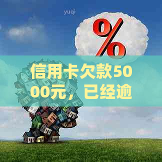 信用卡欠款5000元，已经逾期4个月的处理方法及影响分析