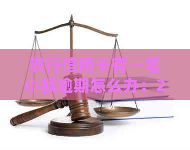 农行信用卡有一笔小额逾期怎么办：2020年新法规详解