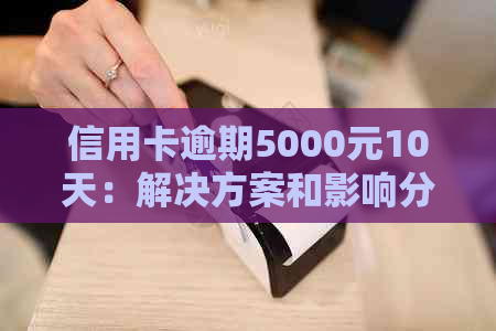 信用卡逾期5000元10天：解决方案和影响分析