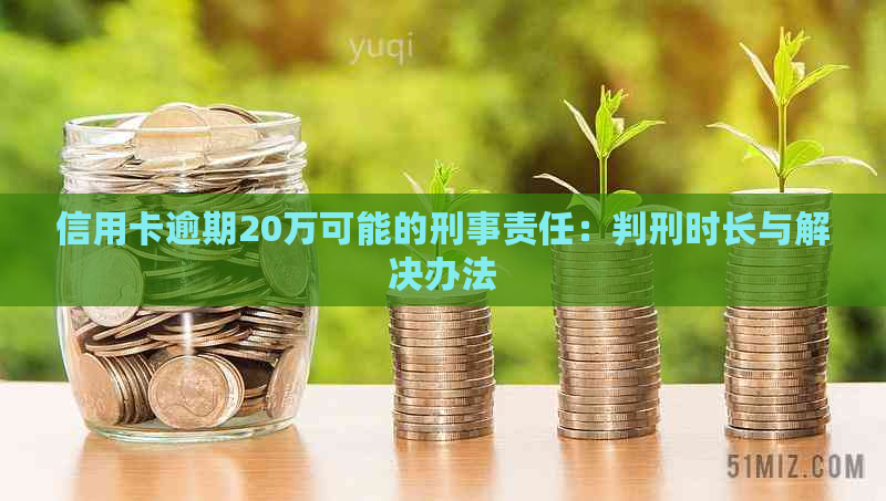 信用卡逾期20万可能的刑事责任：判刑时长与解决办法