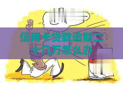 信用卡贷款逾期二十几万怎么办