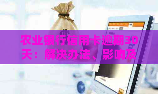 农业银行信用卡逾期30天：解决办法、影响及如何规划还款计划的全面指南