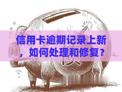 信用卡逾期记录上新，如何处理和修复？