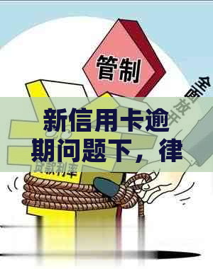 新信用卡逾期问题下，律师要求提供报告，我该如何应对？