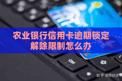 农业银行信用卡逾期锁定解除限制怎么办