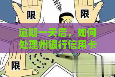 逾期一天后，如何处理州银行信用卡的逾期问题？