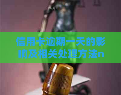 信用卡逾期一天的影响及相关处理方法nn信用卡逾期一天的后果及应对措