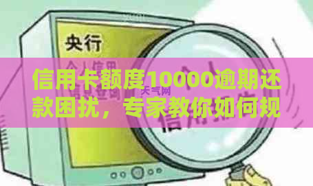 信用卡额度10000逾期还款困扰，专家教你如何规划财务