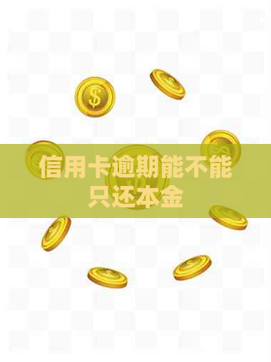 信用卡逾期能不能只还本金