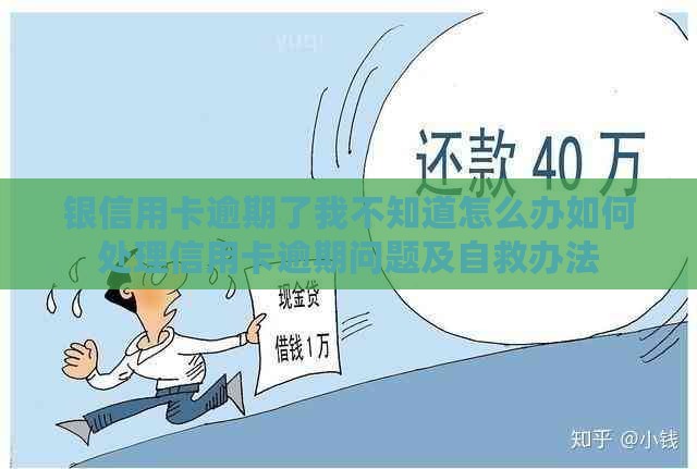 银信用卡逾期了我不知道怎么办如何处理信用卡逾期问题及自救办法