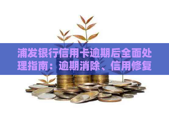 浦发银行信用卡逾期后全面处理指南：逾期消除、信用修复及后续注意事项