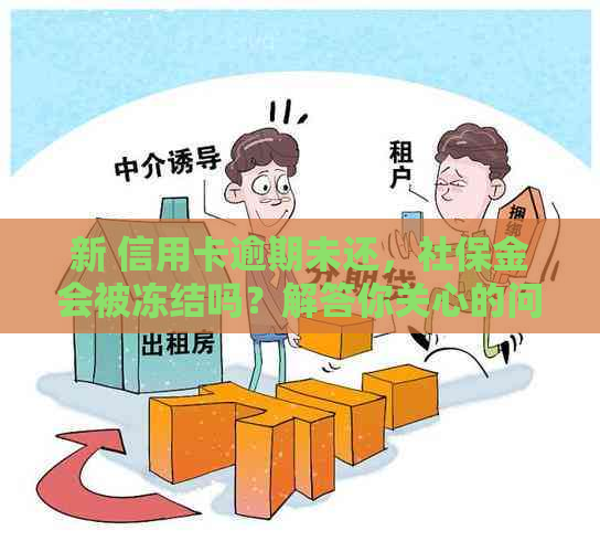 新 信用卡逾期未还，社保金会被冻结吗？解答你关心的问题