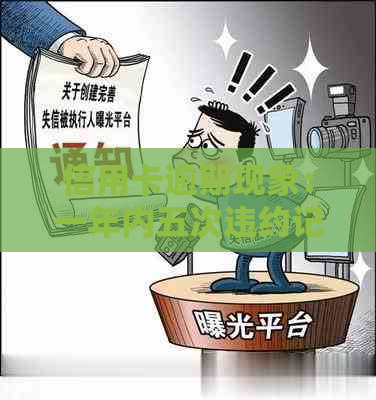 信用卡逾期现象：一年内五次违约记录引发的警示与反思