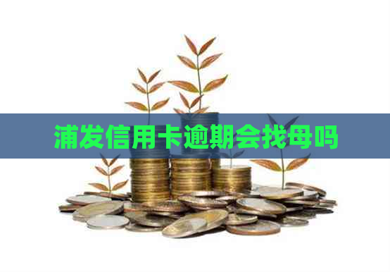 浦发信用卡逾期会找母吗