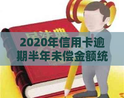 2020年信用卡逾期半年未偿金额统计分析：原因、影响与解决方案