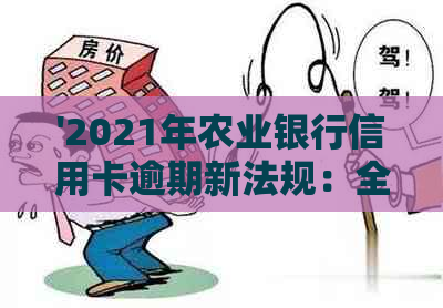 '2021年农业银行信用卡逾期新法规：全面解读相关条款与影响'