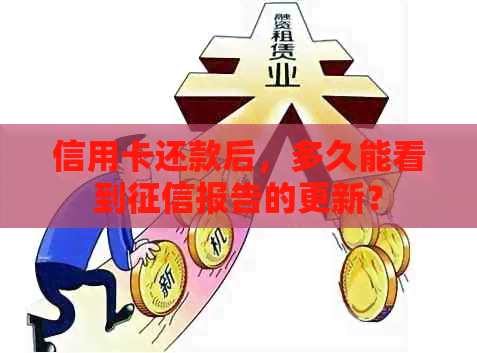 信用卡还款后，多久能看到报告的更新？