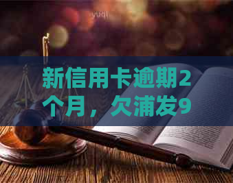 新信用卡逾期2个月，欠浦发9万还款困局如何？