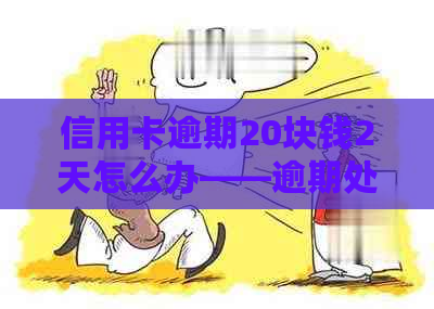 信用卡逾期20块钱2天怎么办——逾期处理指南