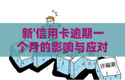 新'信用卡逾期一个月的影响与应对策略：2016年的个人财务管理警示'