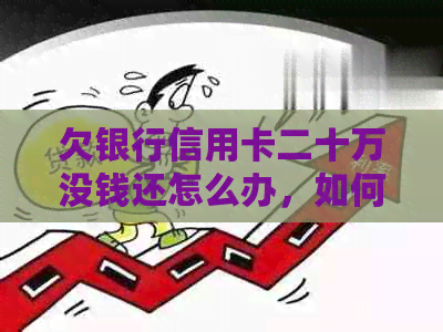 欠银行信用卡二十万没钱还怎么办，如何应对20万信用卡债务无力偿还的困境？