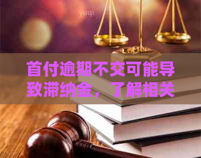 首付逾期不交可能导致滞纳金，了解相关政策和处理方法