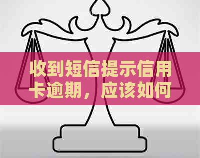 收到短信提示信用卡逾期，应该如何应对？