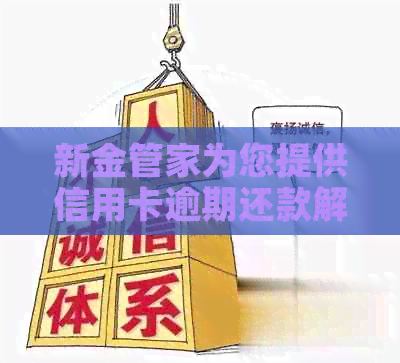 新金管家为您提供信用卡逾期还款解决方案，避免不必要的手续费损失