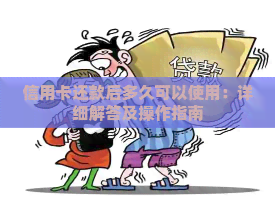 信用卡还款后多久可以使用：详细解答及操作指南