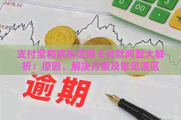 支付宝和京东信用卡付款问题大解析：原因、解决方案及常见误区