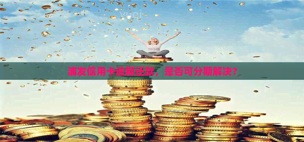 浦发信用卡逾期还款，是否可分期解决？