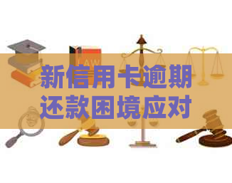 新信用卡逾期还款困境应对策略与建议，如何解决信用卡逾期问题？