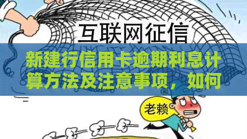 新建行信用卡逾期利息计算方法及注意事项，如何避免逾期产生额外费用？