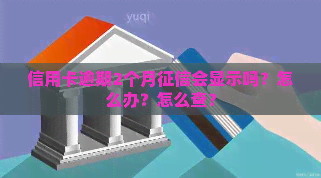 信用卡逾期2个月会显示吗？怎么办？怎么查？