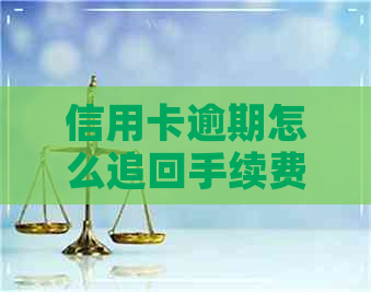 信用卡逾期怎么追回手续费