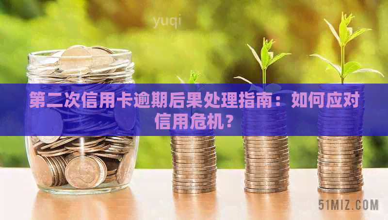 第二次信用卡逾期后果处理指南：如何应对信用危机？