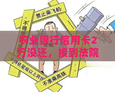 农业银行信用卡2万没还，接到法院电话：真实案例与应对策略