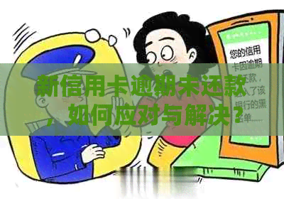 新信用卡逾期未还款，如何应对与解决？