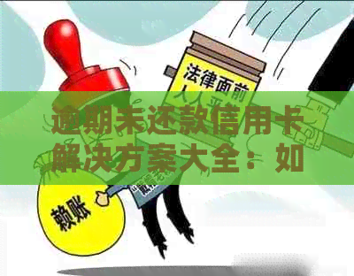 逾期未还款信用卡解决方案大全：如何规划资金、降低利息及避免逾期风险