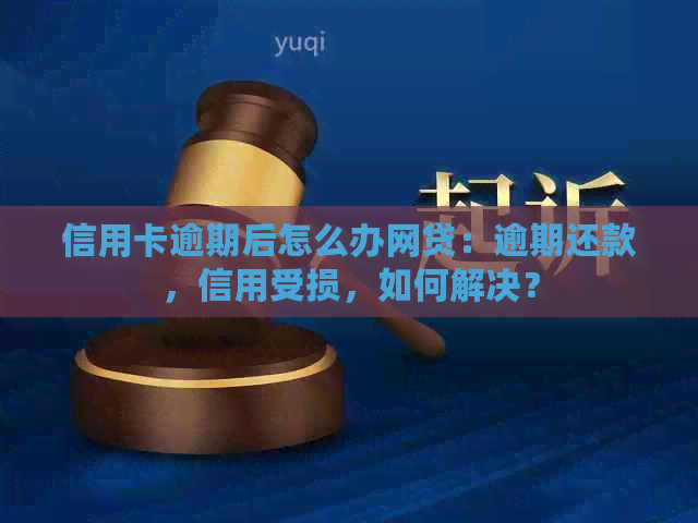 信用卡逾期后怎么办网贷：逾期还款，信用受损，如何解决？