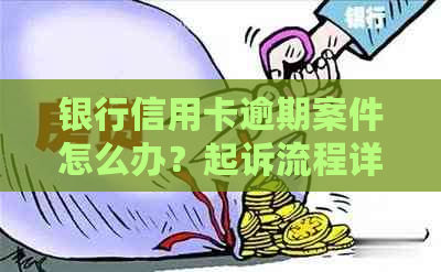 银行信用卡逾期案件怎么办？起诉流程详解