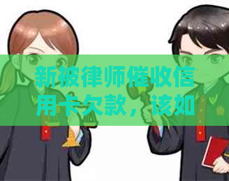 新被律师信用卡欠款，该如何应对并避免进一步的法律纠纷？