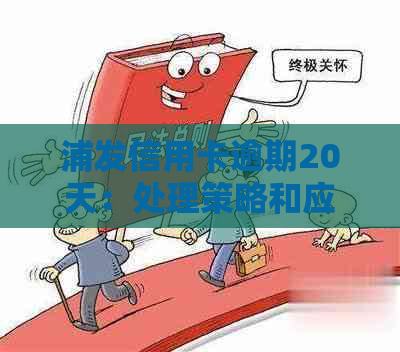 浦发信用卡逾期20天：处理策略和应对建议