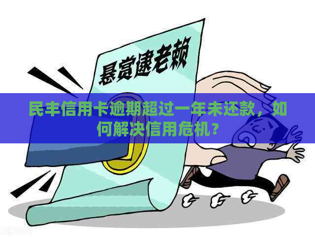 民丰信用卡逾期超过一年未还款，如何解决信用危机？