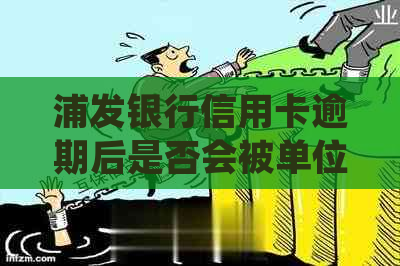 浦发银行信用卡逾期后是否会被单位走访？如何处理逾期还款问题？