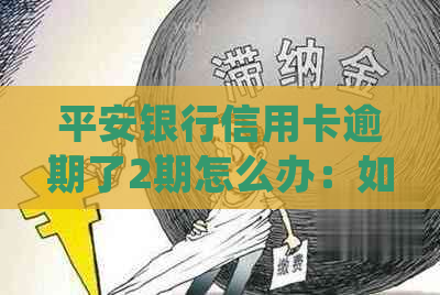 平安银行信用卡逾期了2期怎么办：如何处理逾期还款并避免影响信用记录。