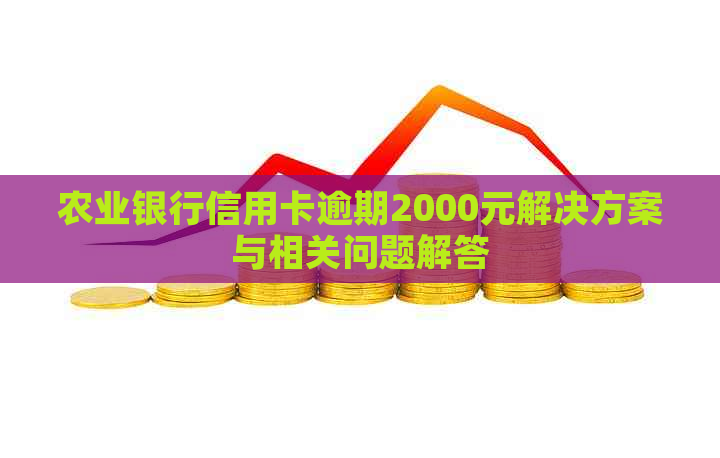 农业银行信用卡逾期2000元解决方案与相关问题解答